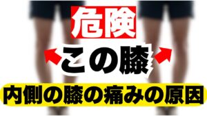 膝の内側の痛みを治す方法｜O脚・変形性膝関節症の入り口を止めるセルフケア（ストレッチ＋筋トレ）