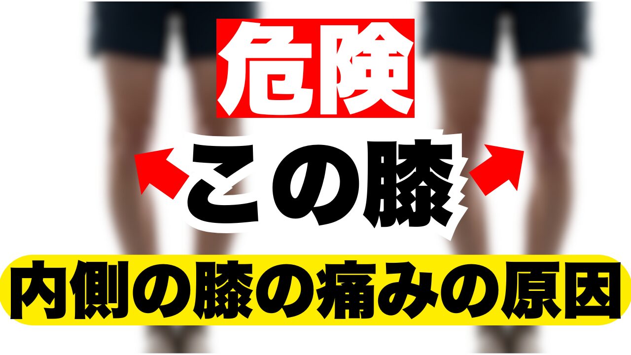 膝の内側の痛みを治す方法｜O脚・変形性膝関節症の入り口を止めるセルフケア（ストレッチ＋筋トレ）