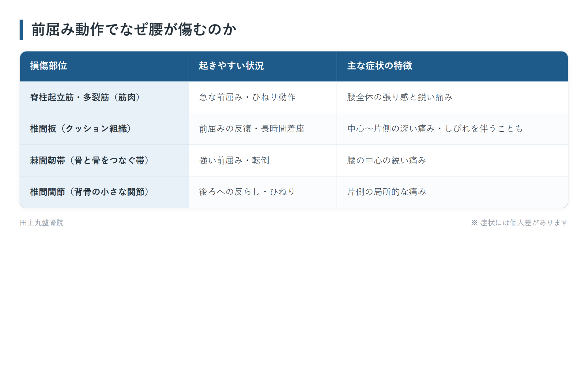 前屈み動作でなぜ腰が傷むのかの一覧表。脊柱起立筋・多裂筋(筋肉)、椎間板(クッション組織)、棘間靭帯(骨と骨をつなぐ帯)、椎間関節(背骨の小さな関節)の4パターンについて、起きやすい状況と主な症状の特徴をまとめた図。